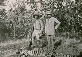 Tiger Hunting in India 1924 | National ...
