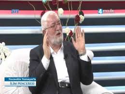 Evde Kedi Beslenirmi Youtube