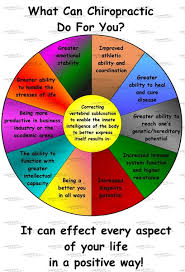 Chiropractic Pie Chart