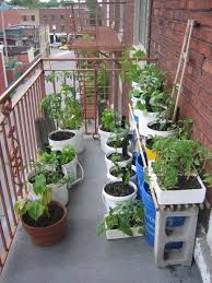 Potager Balcon Tout Ce Que Vous Devez Savoir Pour Reussir La Mission Potager Balcon Potager Astuce Jardin