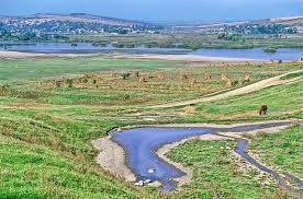 Performed two weddings in chisneau. Moldova Landscape Scenic Stream Water Horse River Skat Consulting