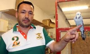bu kuslar krallar gibi selcuk haber