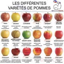 Les Differentes Varietes De Pommes Conseils Alimentaires Les Super Aliments Aliments Bons Pour La Sante