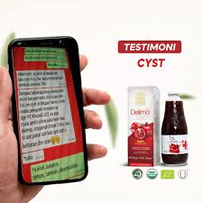 Cara pengambilan pati delima 4. Pati Delima Gulsan Untuk Ibu Hamil