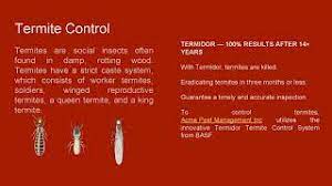 Our company, acme pest control is completely adhered to stringent quality policy to meet established quality standards while selecting insecticides to make more safe life of the people. Acme Pest Control Inc Dryden Ny 13053 800 836 0873 Cute766