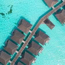 David Kosmos Smith (@davidkosmos) • Instagram photos and videos