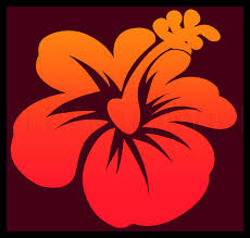 Pink hibiscus flower painting, flower drawing tropics, hawaii flower, watercolor painting, herbaceous plant png. How To Draw A Hawaiian Flower Step By Step Drawing Guide By Dawn Dragoart Com