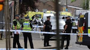 Image result for intuitivefred888