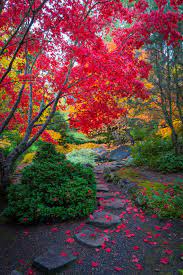 A Smaller Walkway In The Japanese Garden In Lithia Park Japan Photography Nature Oregon Falls Ashland Oregon