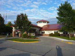 Who can adopt in wisconsin? Havapoo For Sale Wisconsin