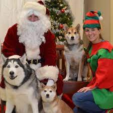 Park grove pet hospital has been providing excellent veterinary service to cottage grove and the surrounding areas for over 40 years! Park Grove Pet Hospital Veterinarians 7663 79th St S Cottage Grove Mn Phone Number