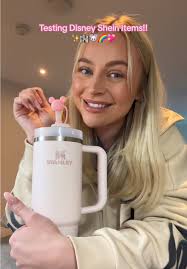 Disney Inspired Stanley Toppers: Adorable Review