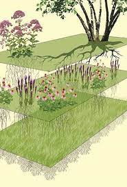 He has designed landscapes for the u.s. Thomas Rainer There Are No Mulch Circles In The Forest The Dirt