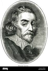 Born in harvey Banque de photographies et d'images à haute résolution