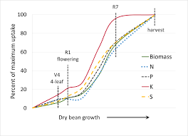 Nutrient Uptake Msu Extension Soil Fertility Montana