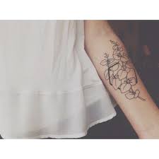 Eucalyptus Gunnii Silver Drop Knowyourplants Tatouage Tatoua Encre