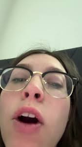 Pitbull Max and A Burglar