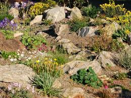 How to build a rock garden. Pin On Home Gardening