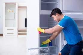 Appliance repair service agent - Fridge problems repair