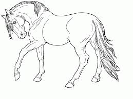 And the coloring craze continues! Realistic Horse Coloring Pages For Kids Drawing With Crayons
