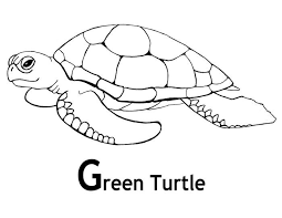 Fantastic Sea Turtle Coloring Pages Printable Free Coloring Sheets Turtle Coloring Pages Turtle Drawing Animal Coloring Pages