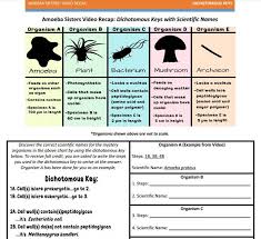 Dichotomous Key Handout Made By The Amoeba Sisters Click To Visit Website And Scroll Down To Download The Dichotomous Key Persuasive Writing Prompts Handouts