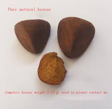 Image result for Bezoar