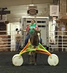 Equine Makeover Showcases Youth Trainers