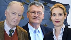 How alexander gauland and alice weidel, respectively, became the. Weidel Gauland Meuthen Herr Juncker Treten Sie Zuruck Alternative Fur Deutschland