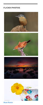 Flickr has a pretty bad interface for a photo sharing website, not something the way 10 best flickr alternatives for photo sharing. Flickr Widget Support Wordpress Com