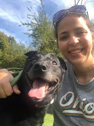 SENIOR SENIORs 🍂🍂🍂🍂🍂🍂🍂🍂 ♥️♥️♥️♥️♥️♥️♥️♥️ NOVEMBER IS ADOPT A SENIOR  MONTH!! 👉PLEASE SHARE THEM -Here's a couple of Senior Girls Humane Society  of Richland County who've been waiting A VERY LONG TIME TO