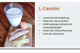 Um in training und alltag optimal zu profitieren, sind bei der einnahme von. L Carnitin Ratgeber Anwendung Wirkung Wolfs Apotheke Bredstedt