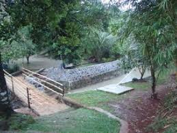 Contact person bapak sumintar phone simpati : Jual Tanah Kebun Di Bogor