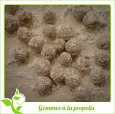 Bonbons Gommes A La Propolis Bonbons Au Miel Bonbon Propolis
