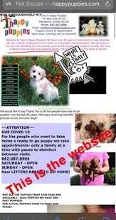 We did not find results for: Tony S Happy Puppies 110 Photos 36 Reviews Pet Breeders 44 W 295 Us 20 Hampshire Il Phone Number