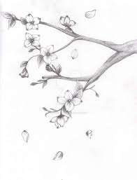 I was testing out a new style, and i came across this sketch after a wild brainstorm and random drawing. 16 Japanese Cherry Blossom Pencil Drawing Cherry Blossom Drawing Tree Drawings Pencil Japanese Cherry Blossom