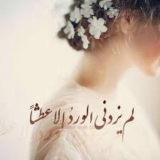 يا نسيم الريح قولي للرشا لم يزدني الورد إلا عطشا لي حبيب حبه وسط الحشا لو يشأ يمشي على خدي مشى ورد حب عطش شوق ا Medical Quotes Beautiful Quotes Arabic