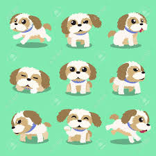 Cartoon Character Shih Tzu Dog Poses Shih Tzu Dog Cartoon Dog Dog Poses