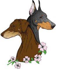 adpc white dobermans ドーベルマン 犬と猫 絵画
