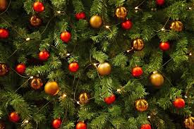 We did not find results for: Where To Buy Christmas Trees And Decorations In Jakarta Little Steps