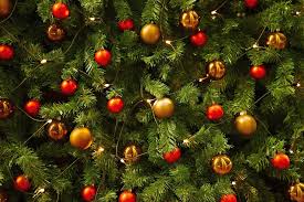 Maybe you would like to learn more about one of these? Where To Buy Christmas Trees And Decorations In Jakarta Little Steps