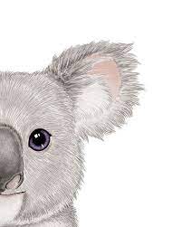 baby koalakunst baby raumdruck koaladruck koala malerei baby raumdekor a koala koaladruck koalakunst mal baby room prints baby art animal posters