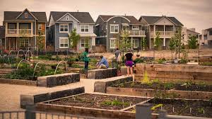 A garden home is a garden that you have all around your home,in your home and where ever your put them on your property. Top 10 Popular Austin Neighborhoods Austin Relocation Guide