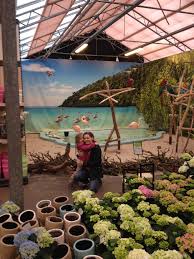 (vogels) eudocimus ruber een ibis met een geheel rood verenkleed vb: Rode Ibis Import Export Van Vogels Posts Facebook