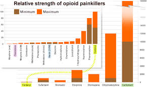 homeless in vancouver fentanyl overdoses are just the