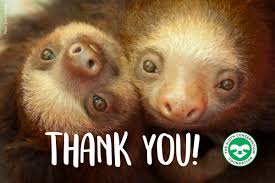 We use sharpies, but remember you don't have to. With Thanksgiving Fast The Sloth Conservation Foundation Facebook