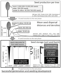 According to imke thormann of biodiversity international, field gene banks have their advantages and disadvantages. Tiebel K Huth F Wagner S 2018 Soil Seed Banks Of Pioneer Tree Species In European Temperate Forests A Review Iforest Biogeosciences And Forestry 11 48 57