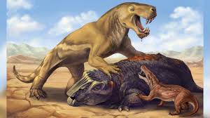 How Fast Could A Saber-Toothed Tiger Run And How Does That Compare To  Modern-Day Big Cats? - Quora