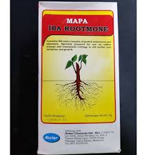 Central forwarding agency sdn bhd. Ready Stock Penggalak Akar Cantuman Tunas Keratan Batang Tut Dan Penggalak Akar Pokok Kecil Root Enhancer Shopee Malaysia