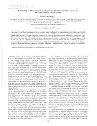 Image result for Exochaenium